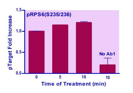 EnzyFluo™ Human/Mouse RPS6(S235/236) Phosphorylation ELISA