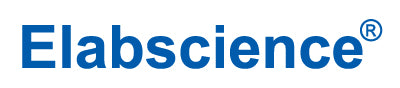 Recombinant Mouse Triggering Receptor Expressed on Myeloid Cells 2b/TREM-2b Protein(C-6His)