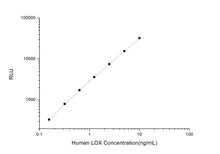 Human LOX (Lysyl Oxidase) CLIA Kit