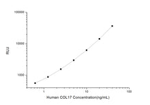 Human COL17 (Collagen Type XVII) CLIA Kit