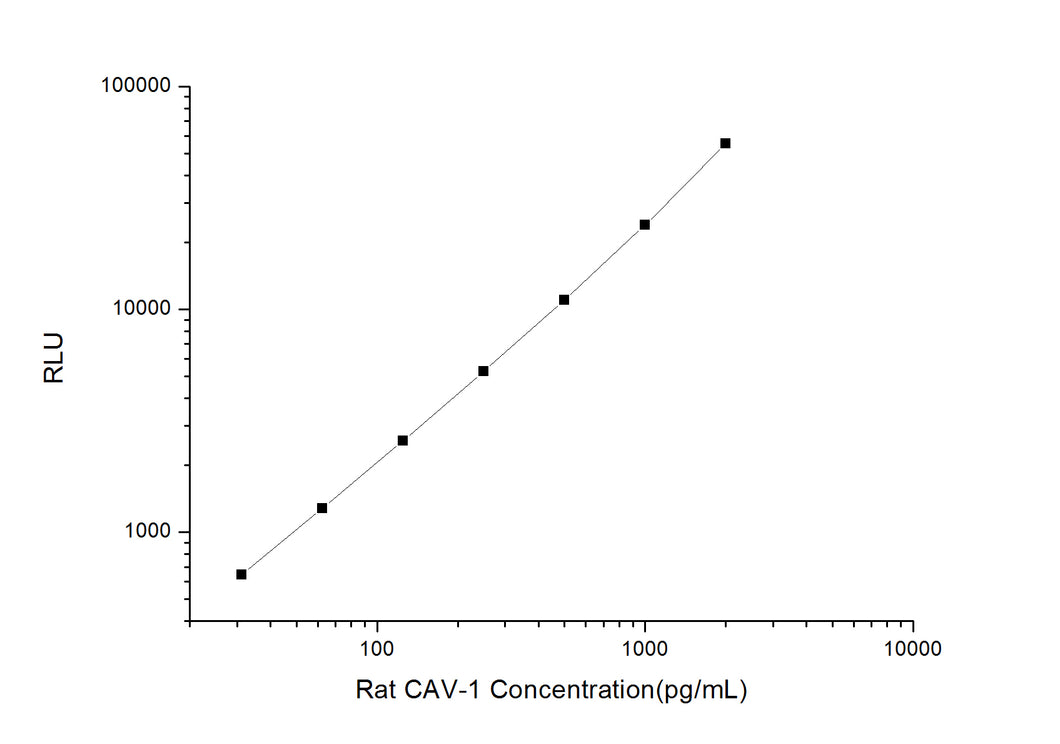 Rat CAV-1 (Caveolin-1)CLIA Kit