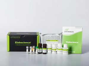 Human BLC (B-Lymphocyte Chemoattractant) CLIA Kit