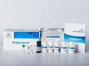 Human FSH (Follicle-Stimulating Hormone) ELISA Kit
